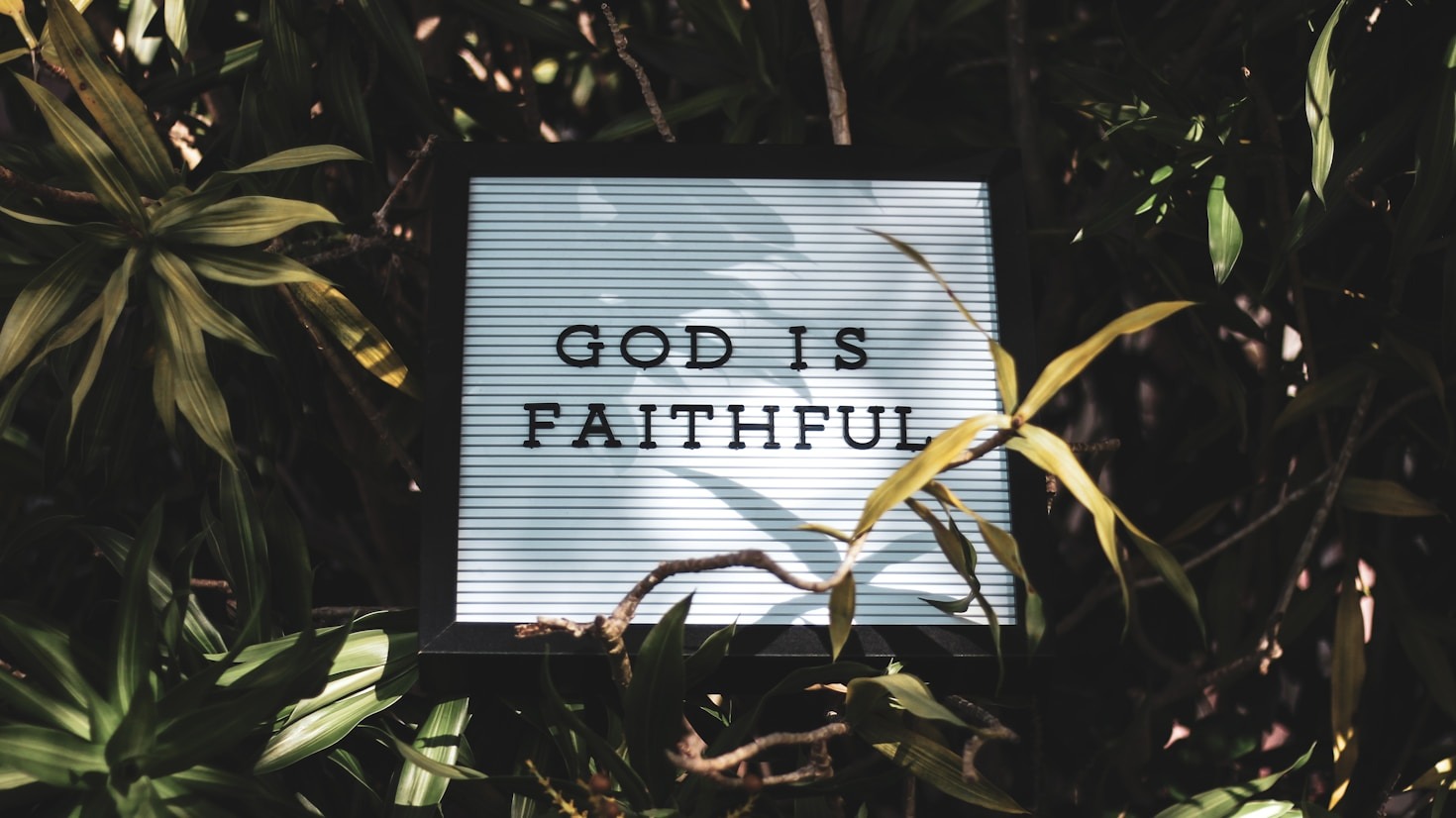 How Photography Deepens Our Connection with the Divine